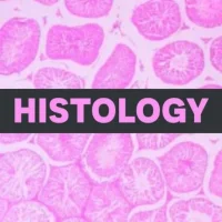 Histology Pro:Annotated Slides